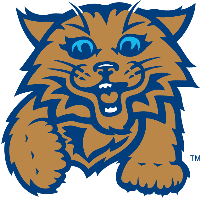 Villanova Wildcats 2004-Pres Misc Logo diy fabric transfer